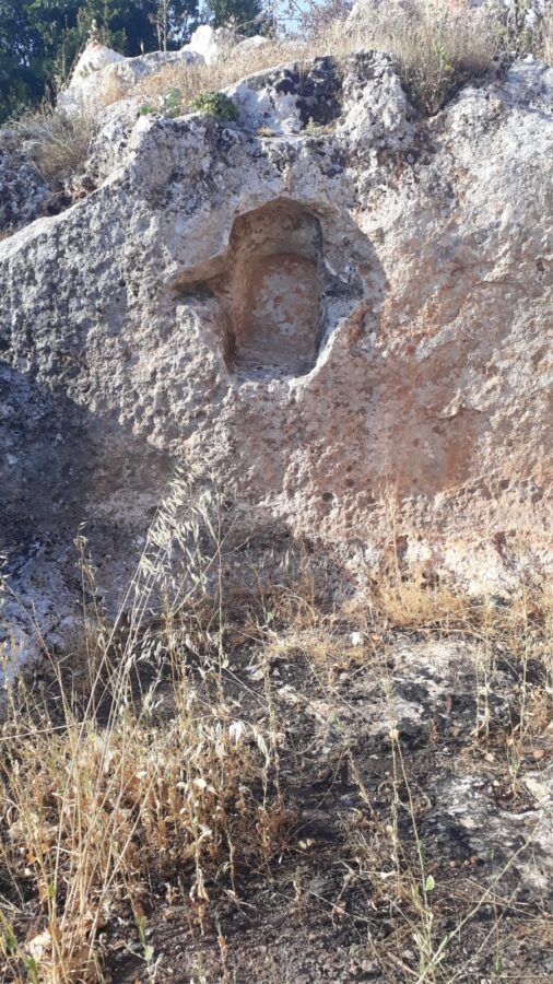 Önemli İşaretler, Yonca, Mihraplar ve Oymalar