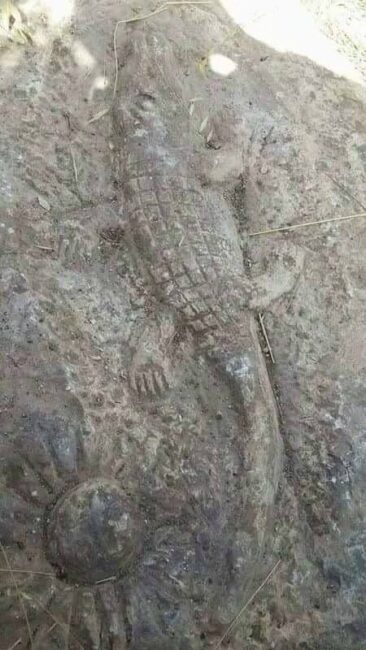 Timsah Define İşareti Anlamı
